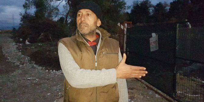 Kesilen Onlarca Atın Etleri Kayıp