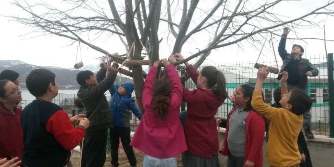 Öğrenciler Ağaçlara Kuş Yemliği Astı