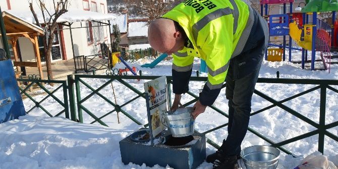 Sokak Hayvanları Unutulmadı