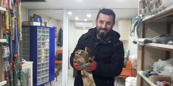 Yaralı Doğana Sahip Çıktı