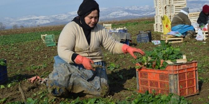 Önder Çiftçiler Geliyor