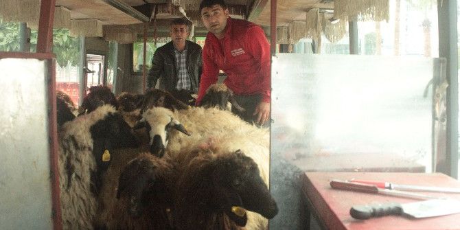 Otobüste Mobil Kesimhane