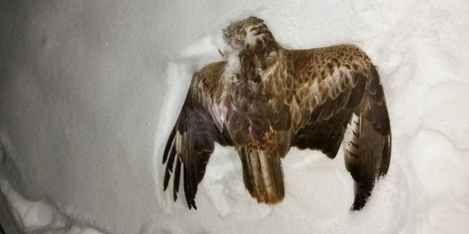 Yüksek Gerilim Hatlarına Çarpan Doğan Ve Atmaca Köyü Elektriksiz Bıraktı