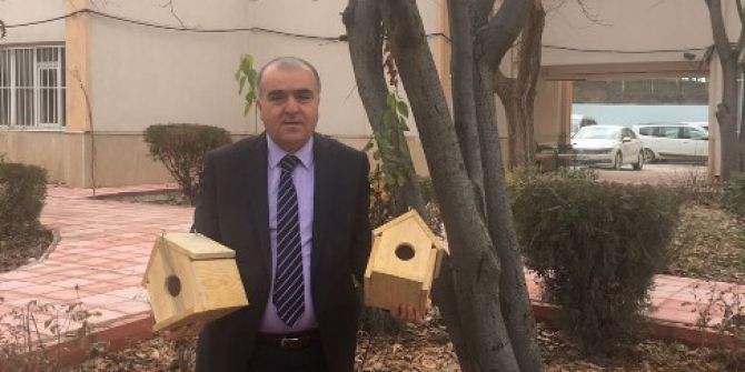 Batman’da Ağaç Dallarına Yuva Yapıldı