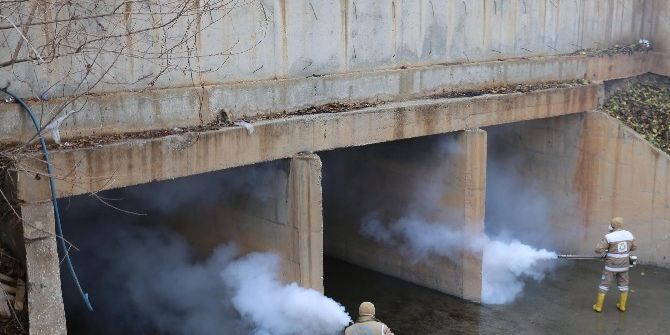 Haliliye’de Haşerelerle Mücadele Kış Aylarında Da Sürüyor