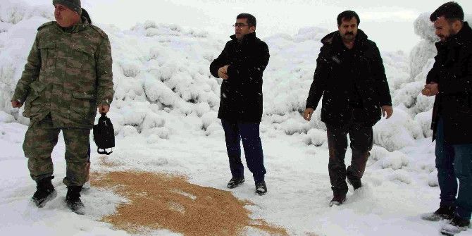 Başkan Çetin Yabani Hayvanlar İçin Doğaya Yem Bıraktı