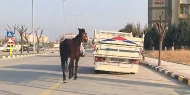 Manisa’da Akıllara Durgunluk Veren Olay