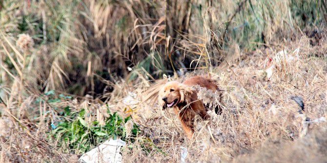 Dedenin Umutlu Bekleyişi, Görenlerin Yüreklerini Burkuyor