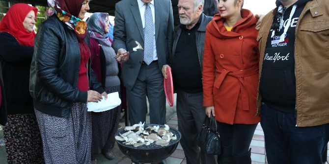 Mezitli Kadın Üretici Pazarı’nda İstiridye Mantarı Şöleni