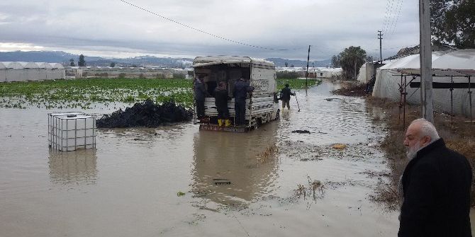 Mersinli Çiftçi, Borç Affı Ve Nakdi Yardım Bekliyor