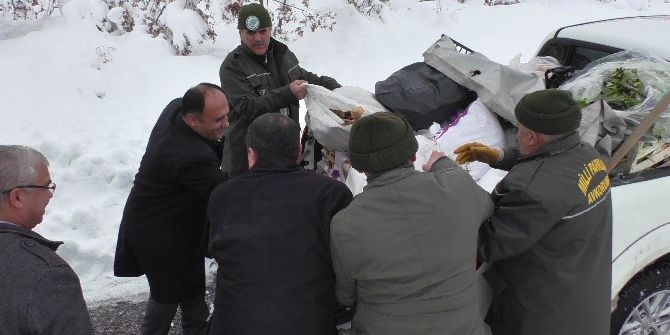 Beyşehir’de Vahşi Hayvanlar İçin Doğaya Yiyecek Bırakıldı