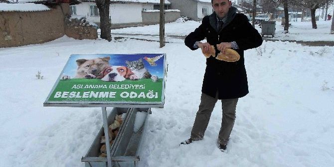 Aslanapa Belediyesi’nden Sokak Hayvanlarına Su Ve Yiyecek Desteği