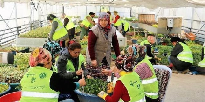 Zonguldak’ta 2.5 Milyon Fidan Toprakla Buluşuyor