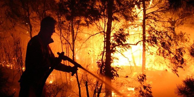 Aydın’da Orman Yangını