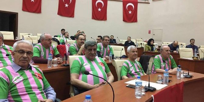 Yeşil Pembe Meclis