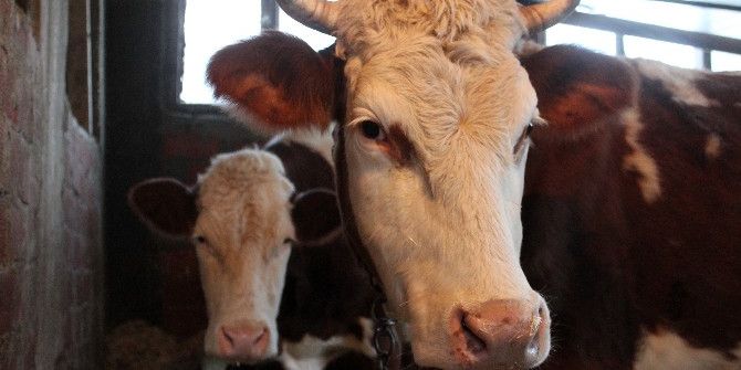 Leyla İle Elmas’ı Çalıp 15 Bin Liraya Satmışlar