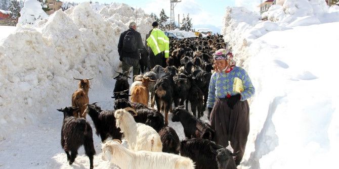 Yaylada Mahsur Kalan Aile Kurtarıldı