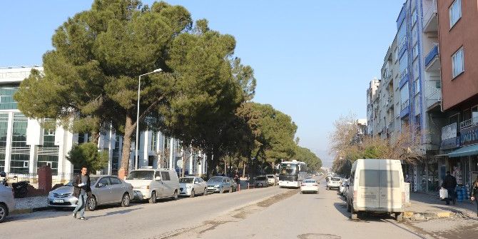 Atatürk Caddesi Prestijine Kavuşuyor