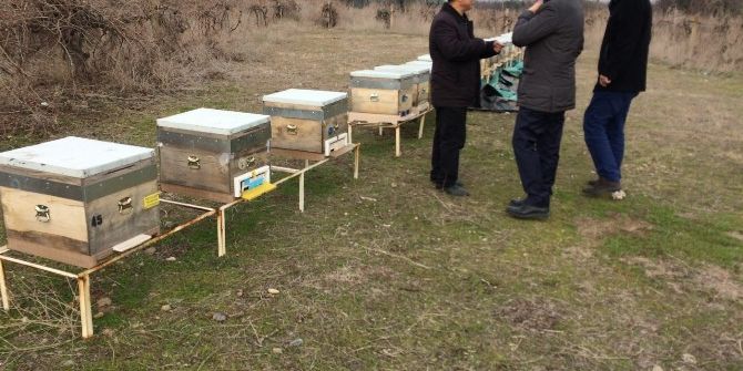 Belediyeden Arı Üreticilerine Denetim