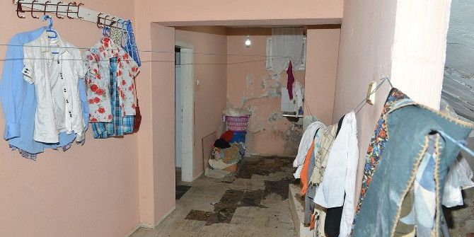 Çöp Evdeki Kedilere Belediye Şefkati