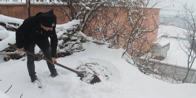 Toprak Altındaki Şalgam Çıkarılıyor