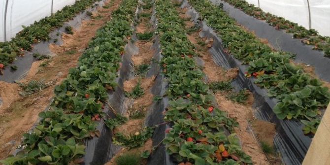 Belediye Destek Verdi Üretim Arttı