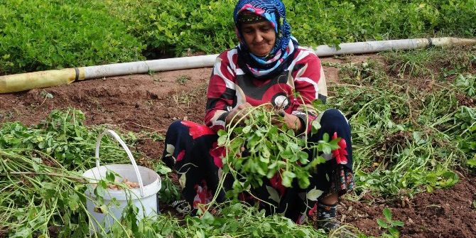 Marmaris’te Yerel Değerlere Coğrafi İşaret Başvurusu Yapıldı