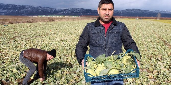 "Alabaş" Vitamin Deposu