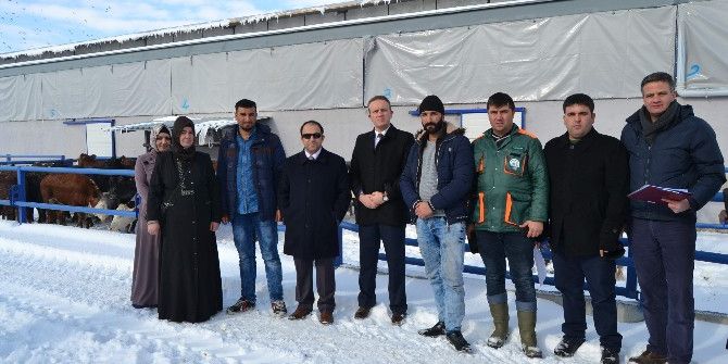 Kulu’da Genç Çiftçilere Düve Dağıtımı