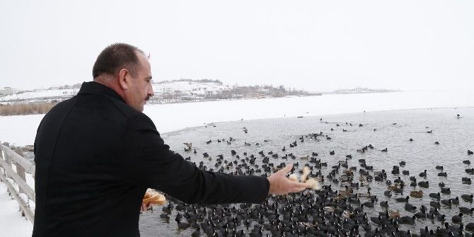 Başkan Duruay Aç Kalan Kuşları Besledi