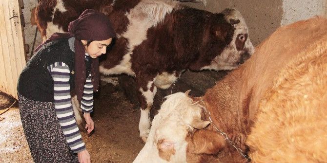 Çemişgezekli Ayşenur Türkiye 3’üncüsü Oldu