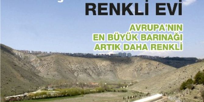 Çankaya Belediyesi Bin 473 Sokak Hayvanını Sahiplendirdi