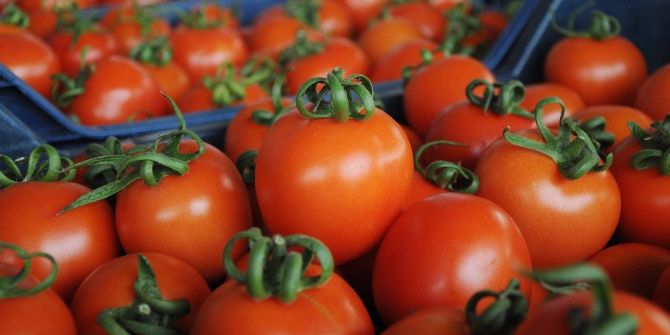 Domatesin Fiyatı Yüzde Yüz Arttı