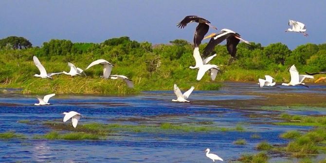 Düzce’nin Tanıtımı İçin Suyu Takip Edin Edin Filmi Çekildi