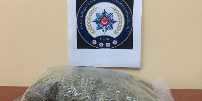 Ordu’da Uyuşturucu Madde Operasyonları