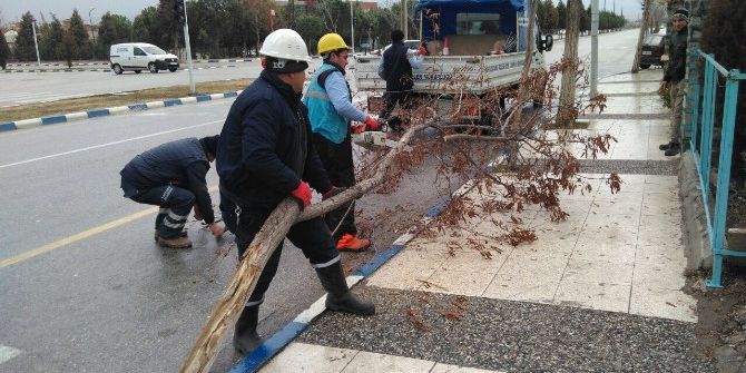 Yunusemre’de Fırtına Alarmı