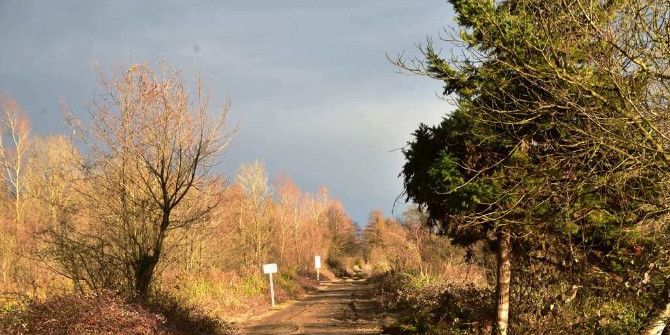 Amazon Tabiat Parkı Dünyaya Açılacak