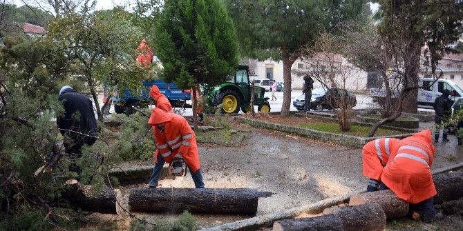 Lodosun Yaraları Sarılıyor, Ekipler Teyakkuzda