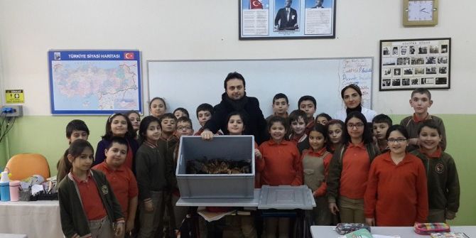 Kartal Belediyesi Solucan Gübresi Üretimine Devam Ediyor