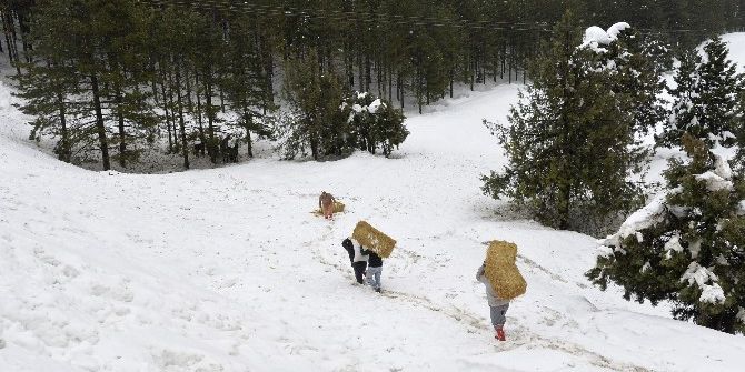 Büyükşehir Belediyesi, Yaban Hayvanları İçin Doğaya Yem Bıraktı