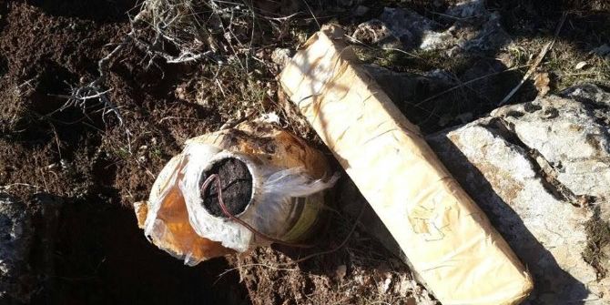 Bitlis’te 1 Adet Eyp İmha Edildi