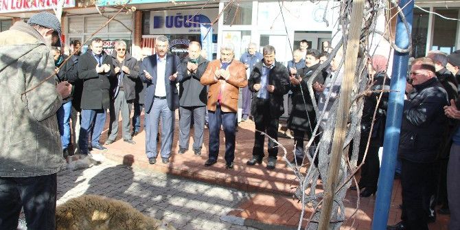 Hisarcık Belediyesi’nden Yeni Yıl Kurbanı