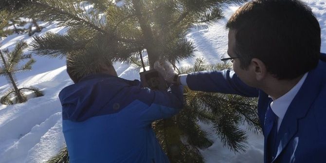 Doğada Yemleme Çalışması