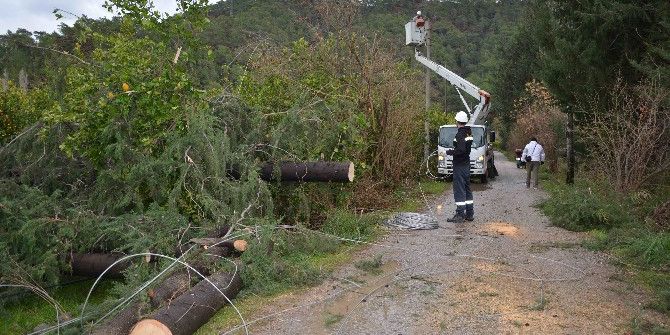 Fırtına Elektrik Telleri Koparıp Ağaçları Devirdi