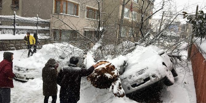 Bursa’da Yoğun Kar Asırlık Ağacı Yıktı, Tramvay Seferleri Güçlükle Yapılabiliyor...