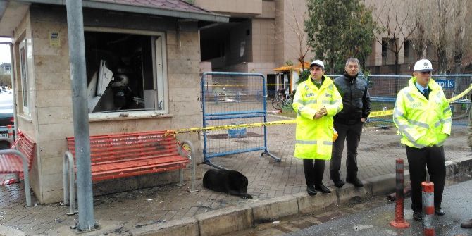 Şehit Sekin’in Köpeği Olay Yerinden Ayrılmadı, Herkes Duygulandı