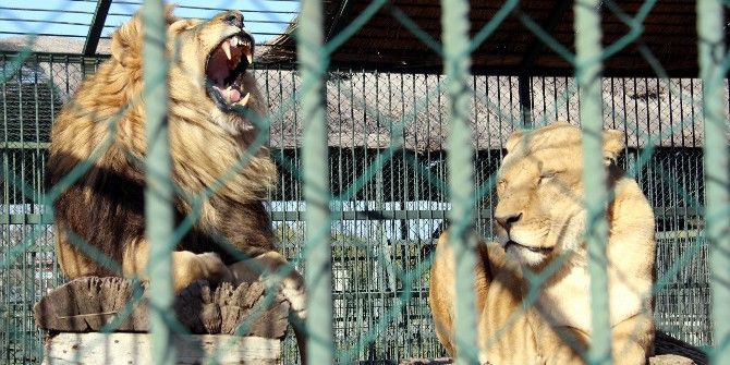 Batıda Kara Kış, Samsun’da Yazdan Kalma Gün