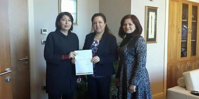 Ak Parti Milas Kadın Kollarında Görev Değişikliği