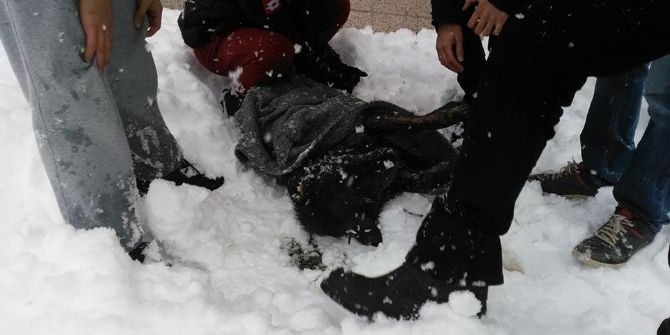 Donmak Üzere Olan Köpeği Kendi Montuyla Isıtmaya Çalıştı