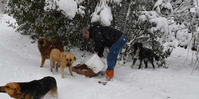 Bahçelievler’de Kış Çalışmaları